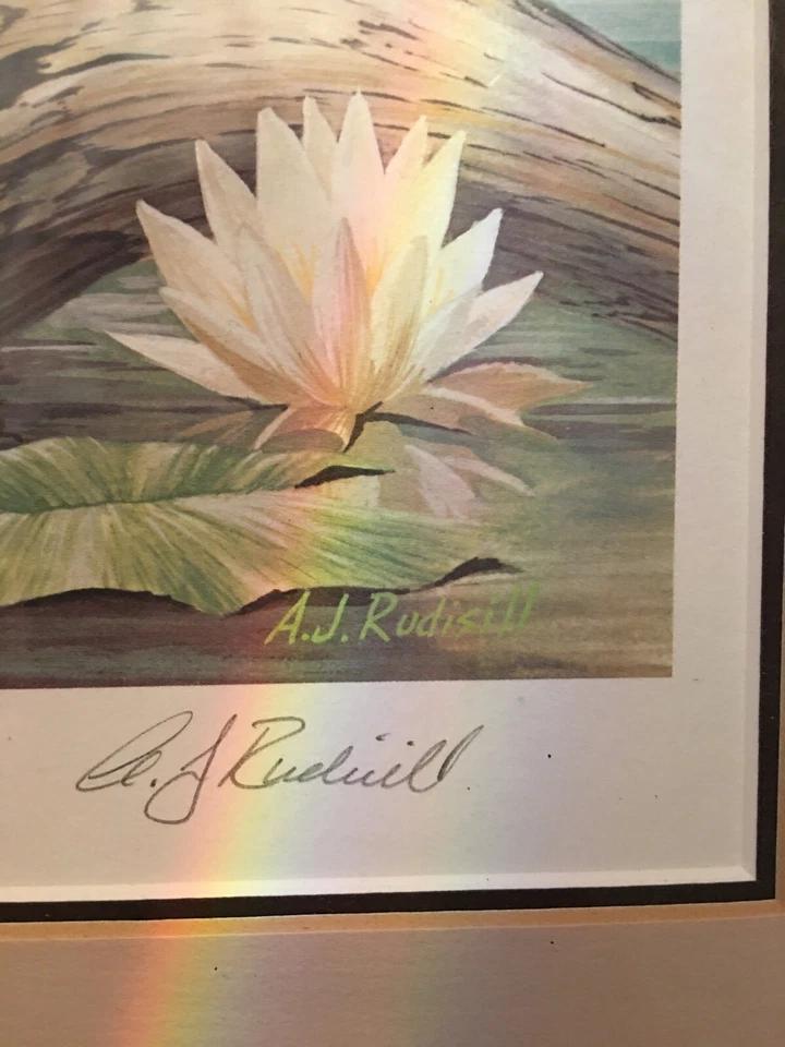 1987 NATL WILDLIFE FED CONSERVATION STAMP Signed And Numbered128/500A.J.RUDISILL - Image 4 of 4