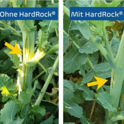 OmniCult HardRock 10 l Dnger Pfanzendnger Getreide Mais Raps Kartoffeln  | eBay