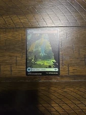 Forest - Foil - Outlaws of Thunder Junction - Basic Land - 276 OTJ Magic Card