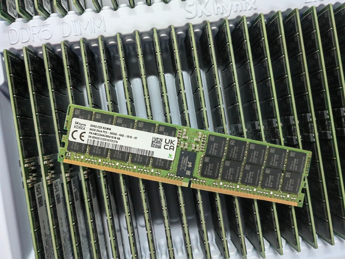 SK Hynix 64GB DDR5 5600 Server RDIMM RAM 2Rx4 PC5-5600B-RA0