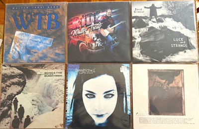 15 LPs Sammlung   Radiohead, The Clash, Walter Trout, Echo & Bunnymen u.v.m. 