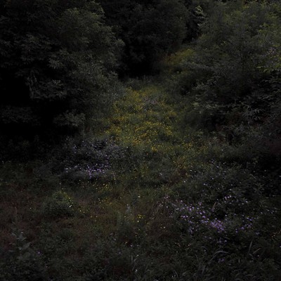Fireworks Higher Lonely Power - Cloudy Black (Vinyl)