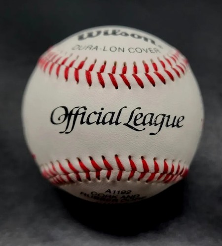 MICHAEL JORDAN AIR NIKE OFFICIAL LEAGUE BASEBALL SPRING TRAINING LIMITED EDITION - Bild 13 von 23