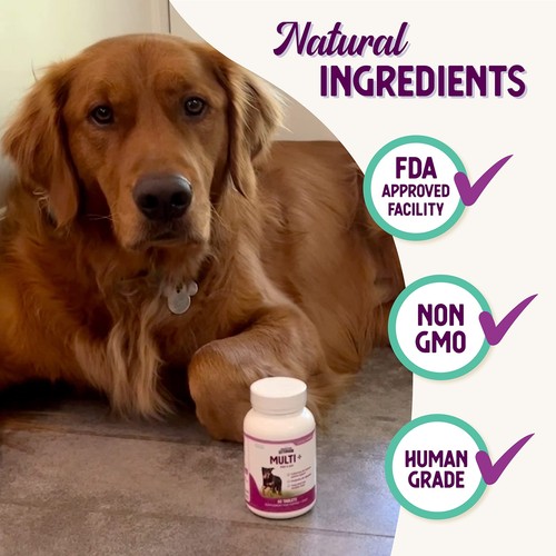 All in One Dog Multivitamin 180 Chewable Tablets for Health Skin Joints - Picture 5 of 7