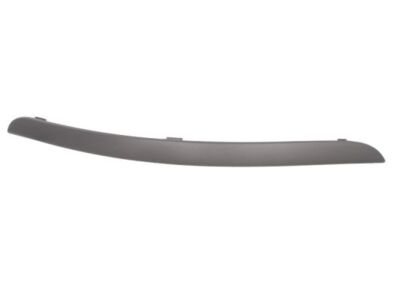 BLIC 5703-05-2532922P Trim/Protective Strip, Bumper for FORD