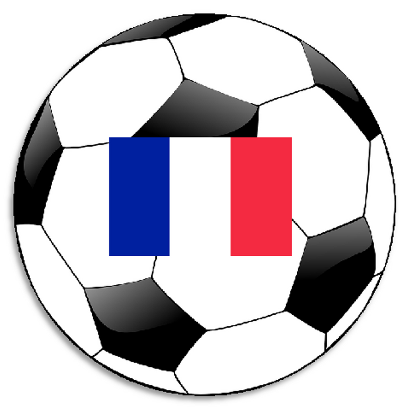 France Flag Soccer Ball Stickers - 10 Pack 3 Inch French Team Decals
