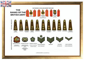 British Army Rank Structure Chart