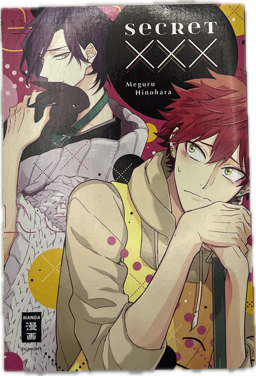 Secret XXX Manga alemán