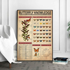 Butterfly Knowledge Poster Print, Butterfly Wall Art Decor, Gift for Butterfly L