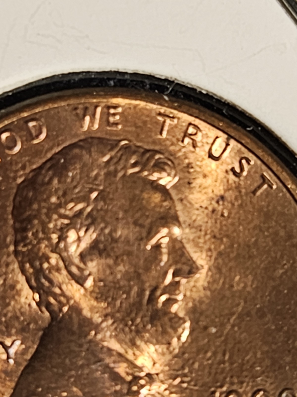 Picture 5 of 14