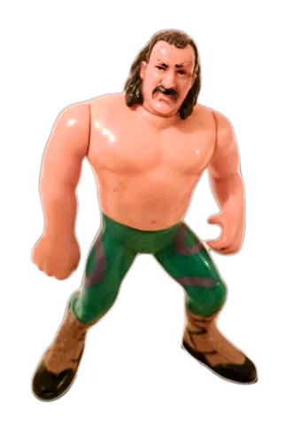 Jake The Snake Roberts WWF Hasbro Wrestling Figure...
