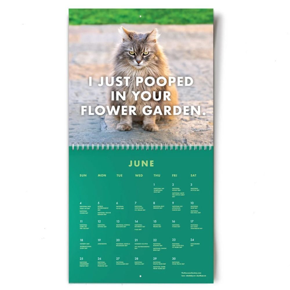 Creatures Art Moon Calendar Office Calendar 2023 Calendar Funny Cat Creatures art moon calendar office calendar 2023 calendar funny cat
