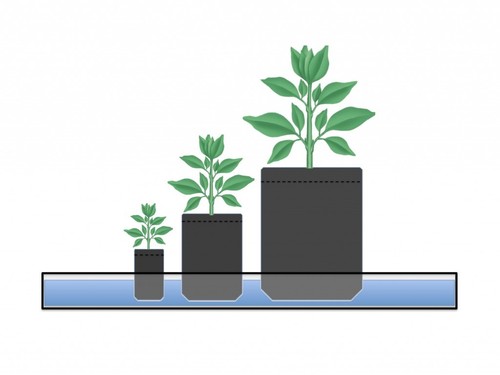 10 Root Pouch vert (570L-150Gallon) Géotextile Smart grow Pot container - Photo 5/7