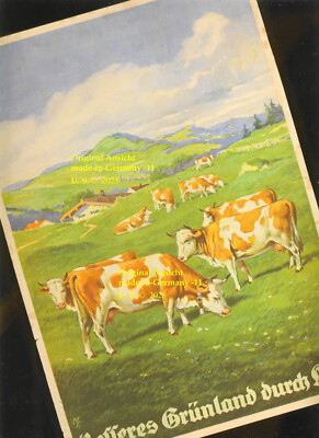 Milchkuh HISTORIc Prospekt zu Grünland Optimierung mit KALI Salz 20er sign M. F.