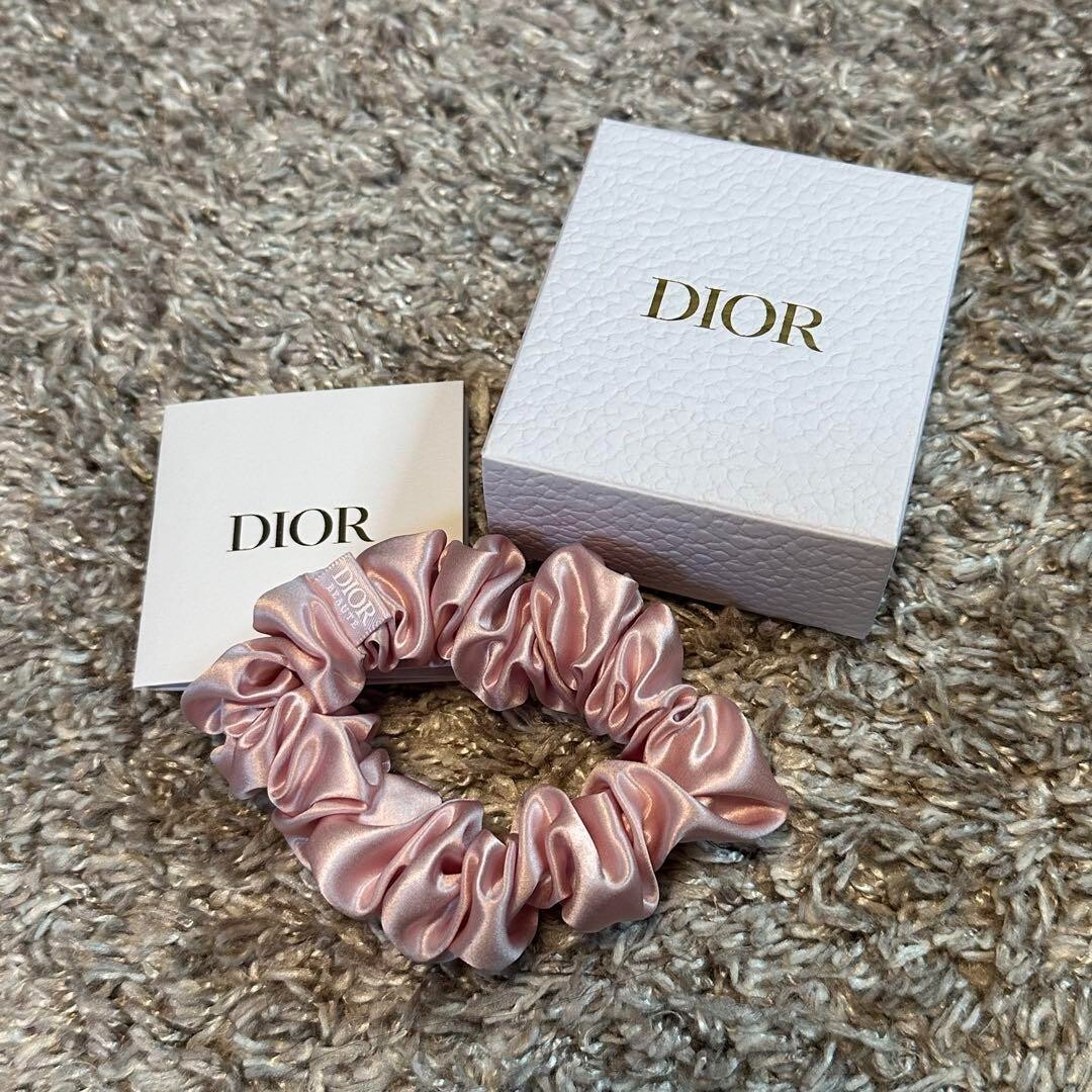 Dior Scrunchie Hair Band Silk Pink Plain Pattern Novelty Hair