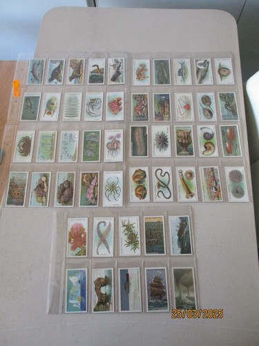 WD & HO Wills Wonders of the Sea 1928 full Set of 50 cards in plastic sleeves