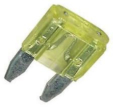 o//e spec fits FORD 11mm x 15mm 10 x Mini Blade Fuses 10A 10 Amp