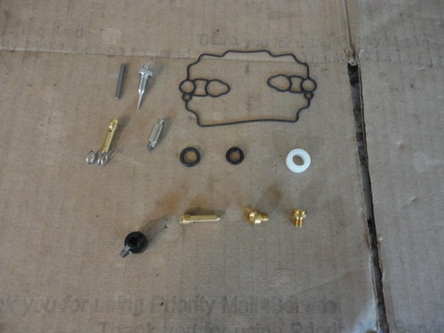 Briggs & Stratton 842873 Carburetor Overhaul Kit READ DESCRIPTION