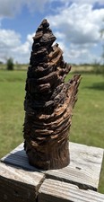 Beautiful Piece Of Stand Alone Driftwood 8