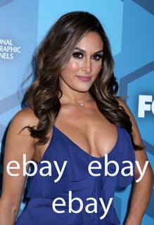 Nikki Bella 4x6 Color Photo #5