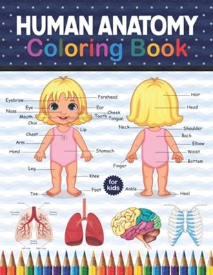 Human Anatomy Coloring Book For Kids: Human Body Anatom -  NEW Shirkaylene Pub 2