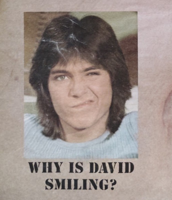 Vintage Retro 1971 Ad Why Is David Cassidy Smiling