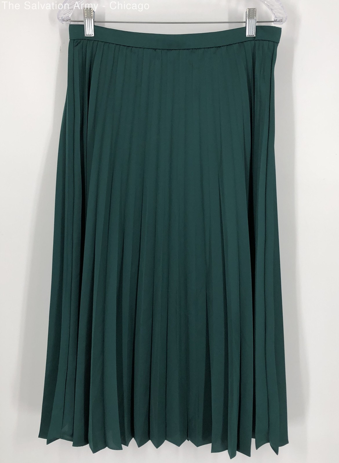 J.Crew Womens Green Regular Fit Back Zip Casual Midi Pleated Skirt Size 8