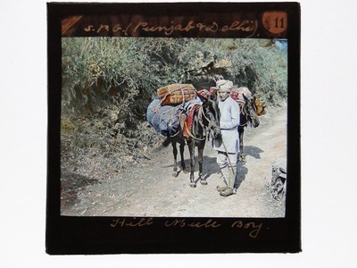 Man & Mules North India Punjab Tinted Glass Lantern Slide