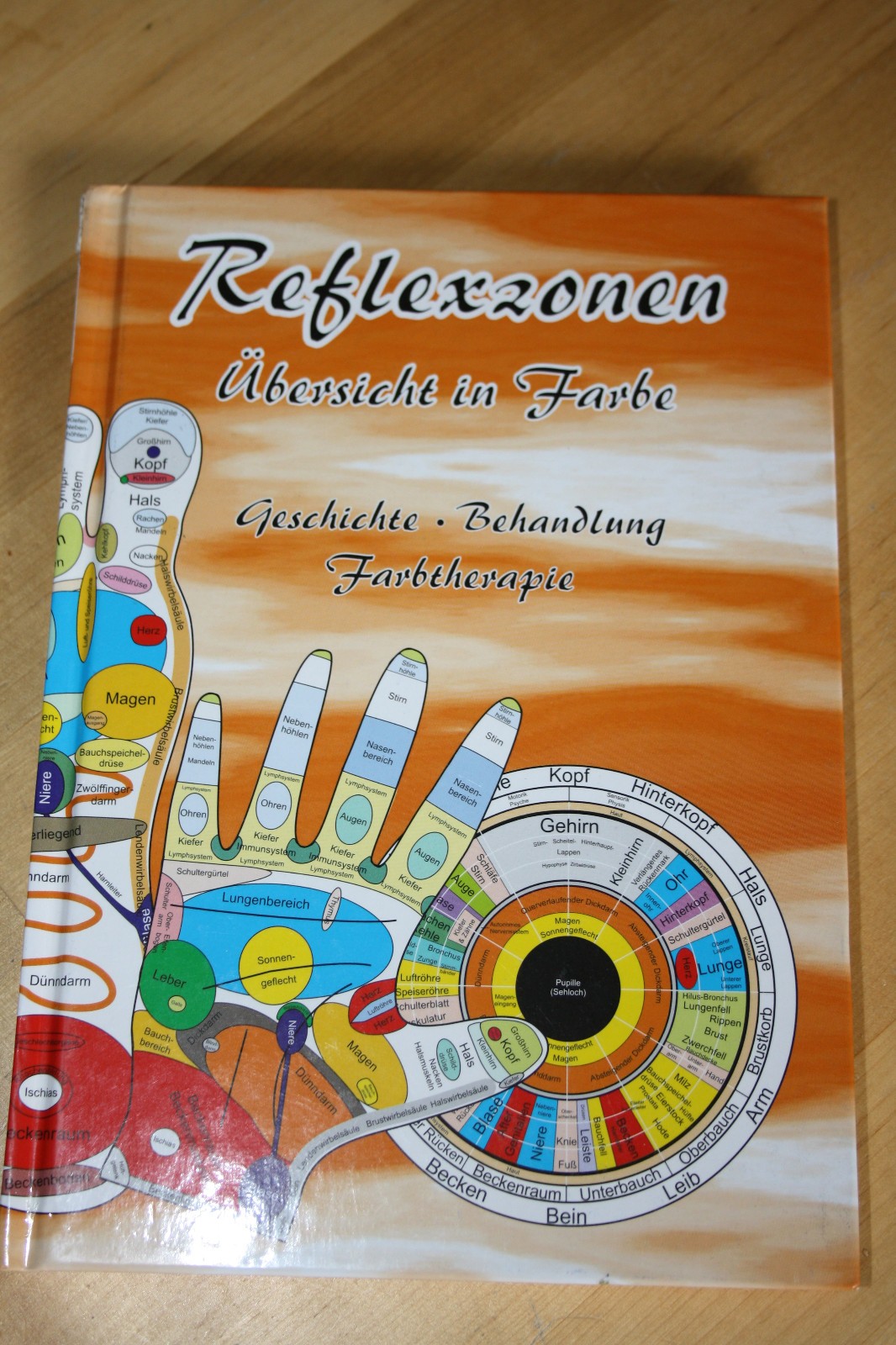 Reflexzonen Kurzübersicht von Tanja Aeckersberg (2018, Taschenbuch)