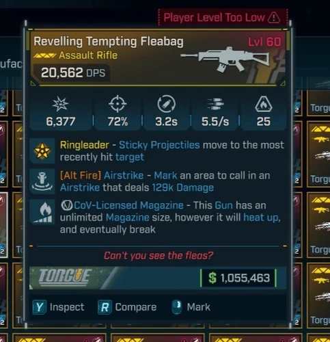 🔥Borderlands 4 [PS5/XBOX/PC] Torque Tempting Fleabag Airstrike AR G Roll LVL 60