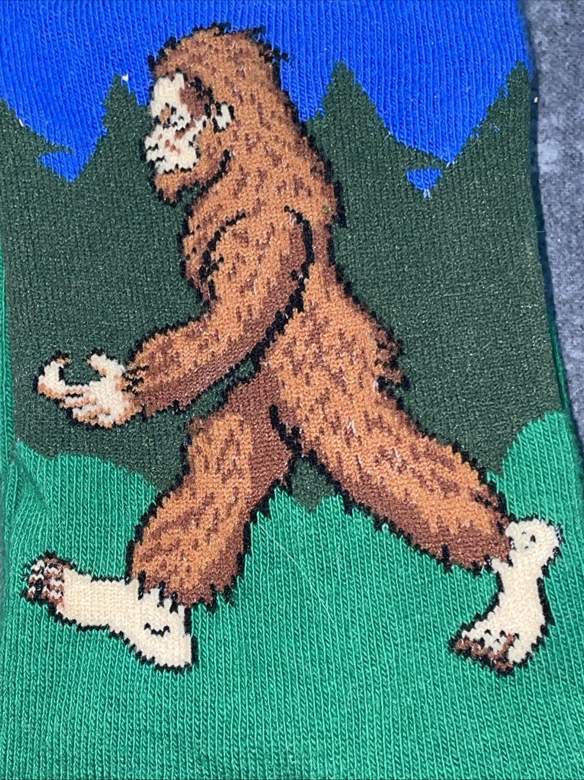 Picture 4 of 4