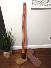 didgeridoo eucalyptus