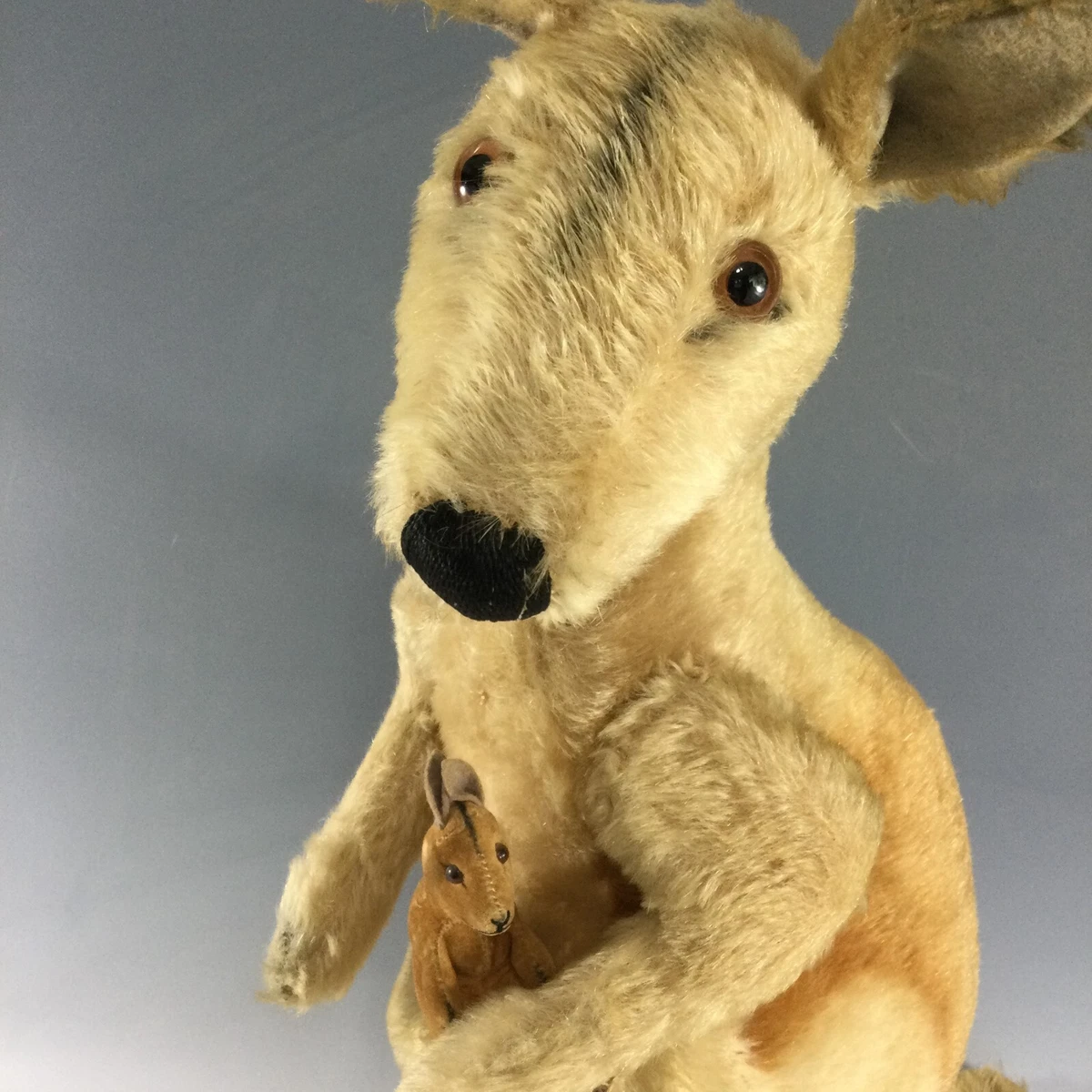 Steiff Kangaroo In Steiff Teddy Bears for sale | eBay