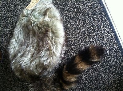 Adult COON SKIN CAP Real Tail hat raccoon Wilcor Wilderness Cap