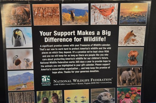NATIONAL WILDLIFE FEDERATION Calendar "Treasures of Wildlife" 2014 - 2015 18 Mo - 第 3/9 張圖片