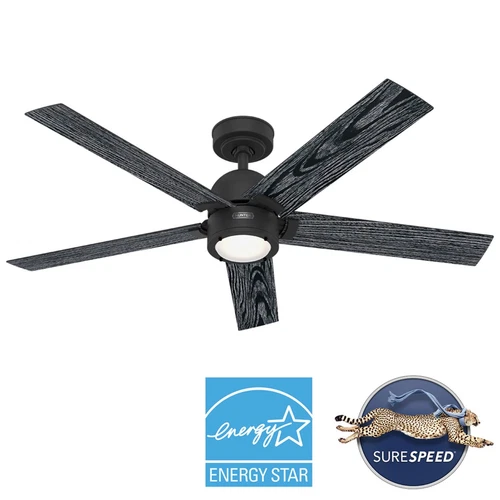 Hunter 52 inch Erling ENERGY STAR® Matte Black Ceiling Fan, Light Kit, Remote - Picture 1 of 16