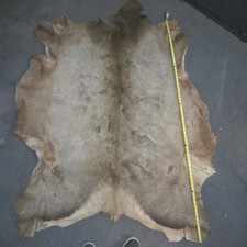 Large Real Elk Hide Rug/Home Décor 65"X57" Brown/Tan Excellent  heavy hide.