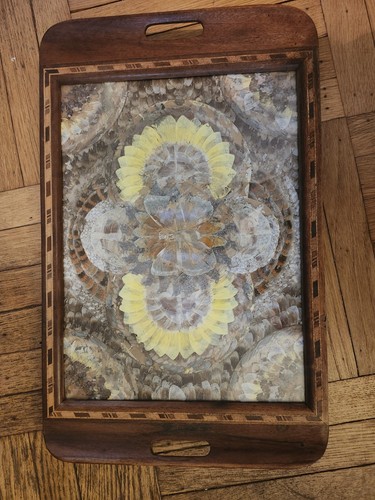 Vintage MCM Brazilian Morpho Butterfly Wing Mosaic Inlay Wood Serving Tray READ - Picture 6 of 21