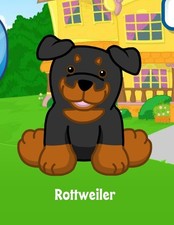 Webkinz Classic Rottweiler Virtual PET Adoption Code Only Messaged RETIRED 