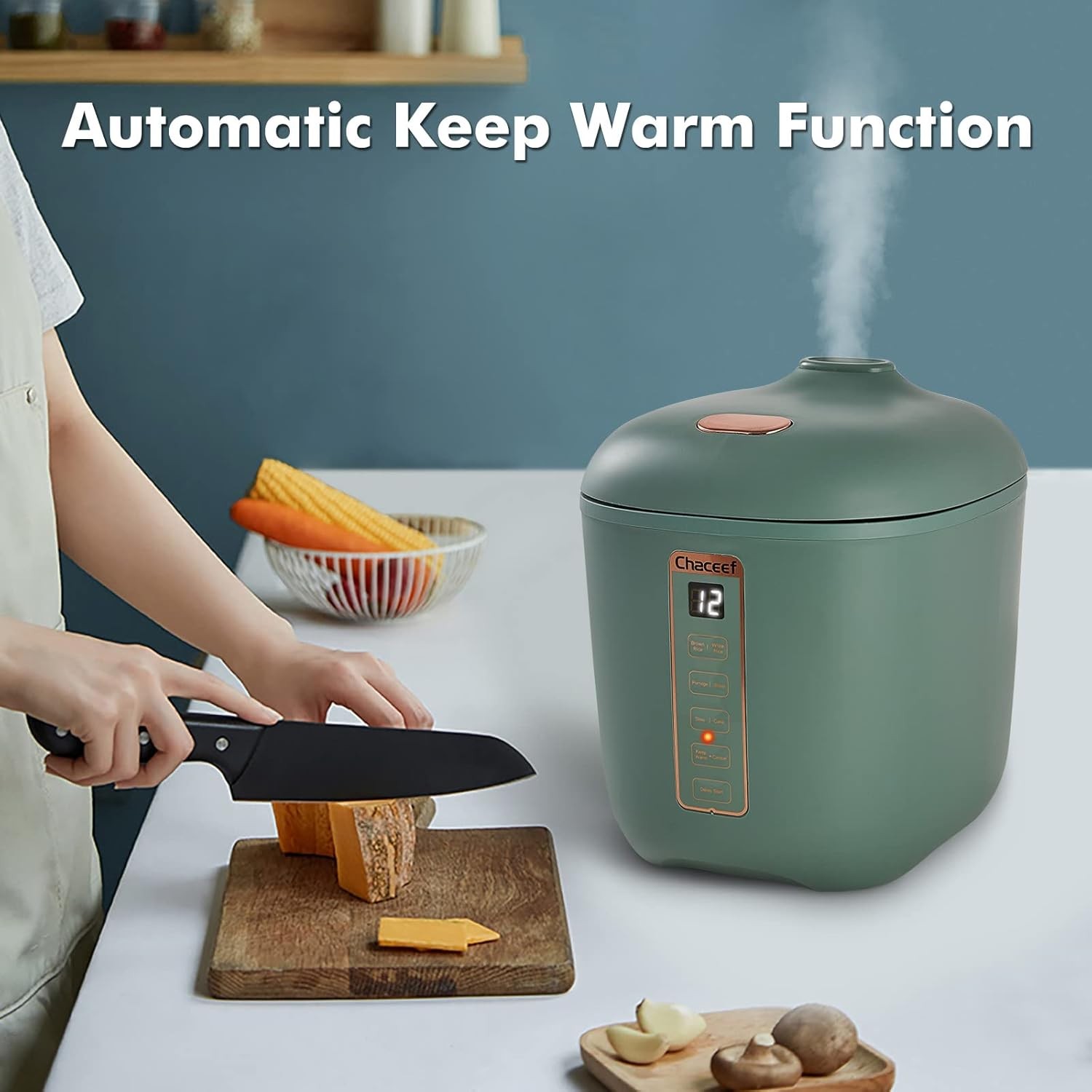 2-Cups Uncooked, 1.2L Small Rice Cooker with Non-stick Pot