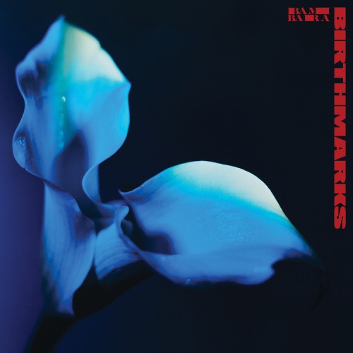 Birthmarks by Bambara [VINYL]