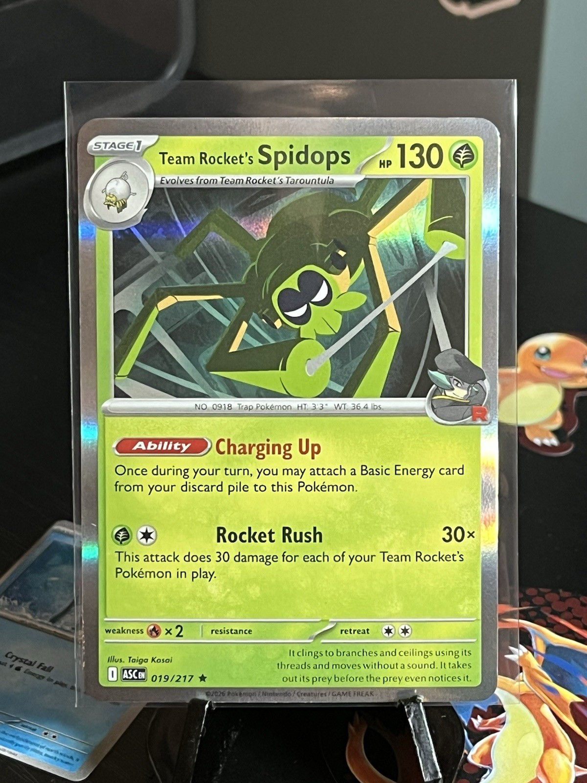 Pokemon TCG Team Rocket's Spidops 19/217 Ascended Heroes ME2.5 Holo NM