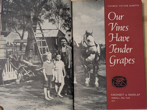 Our Vines Have Tender Grapes - George Victor Martin 1945 Motion Picture HC Book - Picture 8 of 10