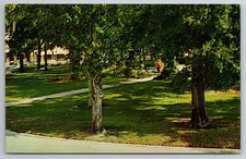 Vintage Postcard FL Sebring Circle Park Old Cars Chrome~10932