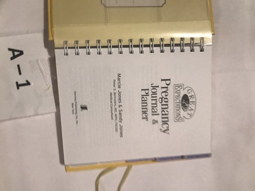 Schwangerschaftstagebuch & Planer Buch Große Erwartungen * NEU - Marcie & Sandy Jones - Bild 6 von 10