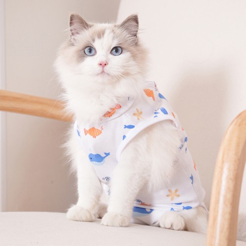 Recovery Suit for Dogs Cats After Surgery, Professional Pet Clothing Operative - Picture 8 of 31