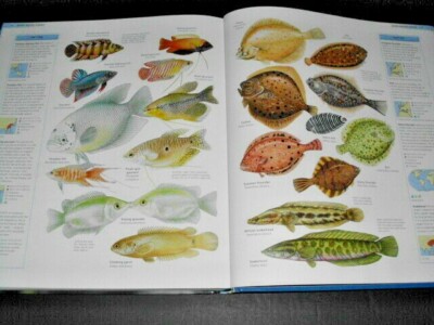 THE ENCYCLOPEDIA OF FISHES : A Complete Visual Guide | eBay