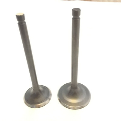 #ad GRIZZLY 350 INTAKE VALVE EXHAUST VALVE KIT FIT YAMAHA GRIZZLY YFM350 2007 2013 $28.88
