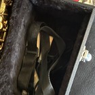 ANTIQUA WOODS Alto Saxophone, Gold Finish, Includes Hard Case — photo 4