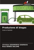 Christian Sekimonyo Shamavu (U. A.) | Produzione Di Biogas | Taschenbuch (2024)